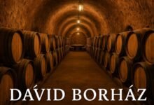 David Borhaz