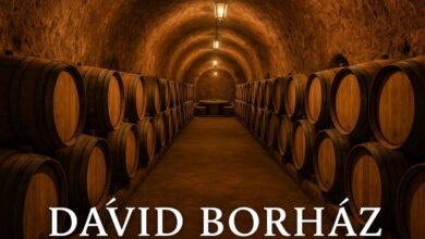 David Borhaz